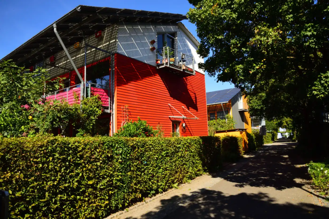 Rotes Holzhaus einer Solarsiedlung mit Photovoltaik an Dach und Balkon, davor Hecke und Weg (Neuensalz, Vogtlandkreis)